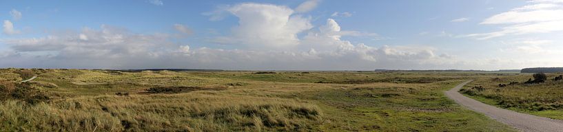 Panorama Ballumer dunes by Sander de Jong