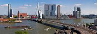 Panorama Kop van Zuid Rotterdam van Anton de Zeeuw thumbnail