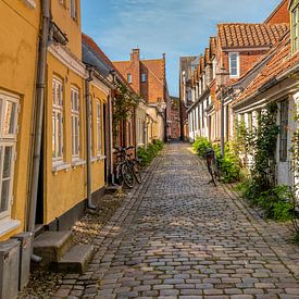 Oude steeg in Ribe, Denemarken van Dieter König
