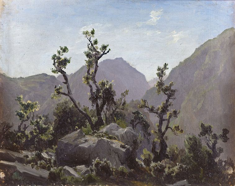 Carlos de Haes-Asturias mountains, stone on the forest, Antique landscape by finemasterpiece