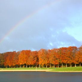 Regenboog / Rainbow von Ocmer Fotografie