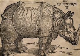 Albrecht Dürer – Le rhinocéros (1515) | Gravure d'animal de la Renaissance sur Timeless Artworks