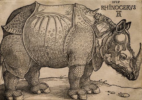 Albrecht Dürer – De neushoorn (1515) | Vintage renaissance-diergravure