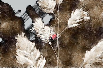 Lieveheersbeestje abstract