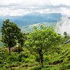 Treinreis door Sri Lanka van Gijs de Kruijf