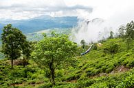 Voyage en train à travers le Sri Lanka par Gijs de Kruijf Aperçu