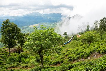 Train journey through Sri Lanka by Gijs de Kruijf
