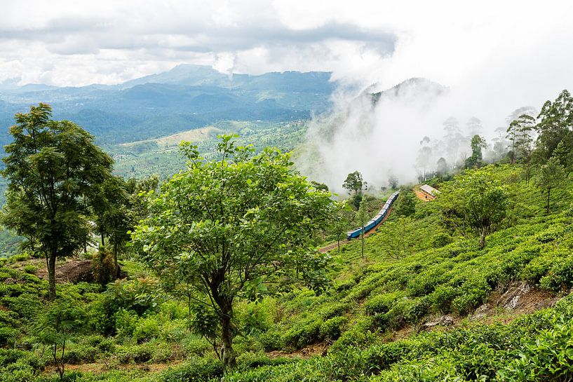 Voyage en train à travers le Sri Lanka par Gijs de Kruijf