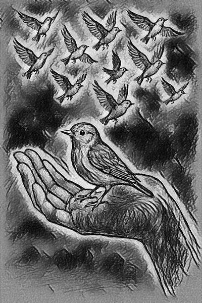Lieber einen Vogel in der Hand, als zehn in der Luft. von Jose Lok