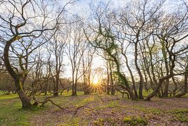 Zonsondergang Schipborg - Drenthe (Nederland) van Marcel Kerdijk