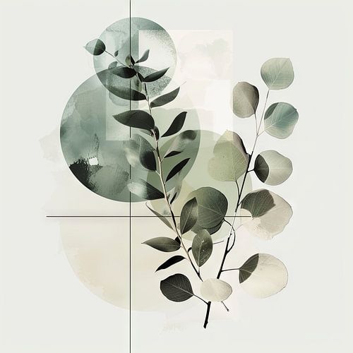 Eucalyptus &amp ; Géométrie : symétrie organique
