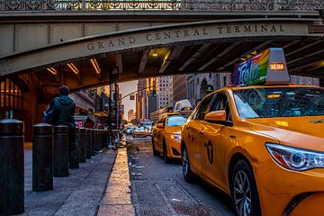 Grand Central terminal New York City van Thomas Bartelds