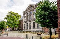 Gericht in Leiden von Dirk van Egmond Miniaturansicht