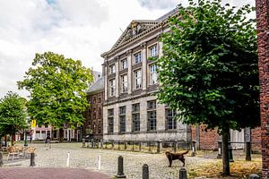 Gericht in Leiden von Dirk van Egmond