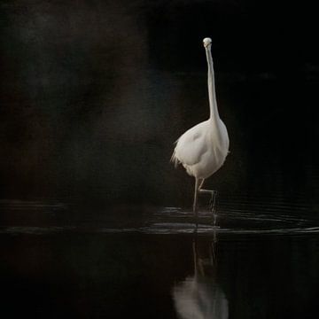 Silver heron, pawing by natascha verbij