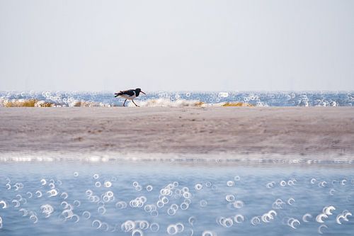 Strand Noordwijk