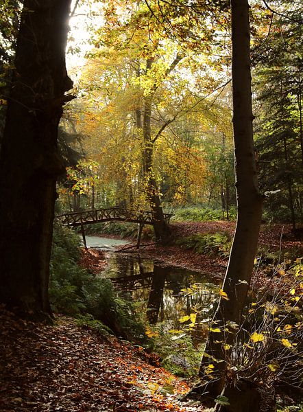 Bridge on the Fraeylamaborg estate by Pim van der Horst