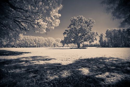 Domaine Huis de Voorst