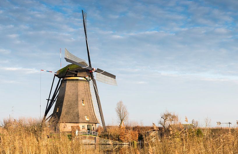 windmills in Kinderdijk Holland by ChrisWillemsen