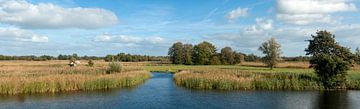 Nationaal Park Weerribben-Wieden van Richard Wareham