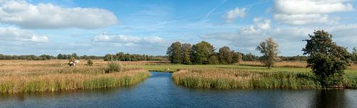 Parc national Weerribben-Wieden