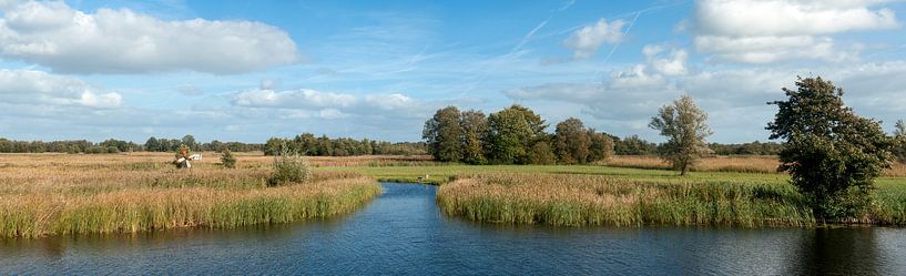 Nationaal Park Weerribben-Wieden van Richard Wareham