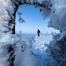 Winterlandschaft von Renato Joller