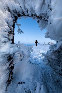 winterlandschap van Renato Joller