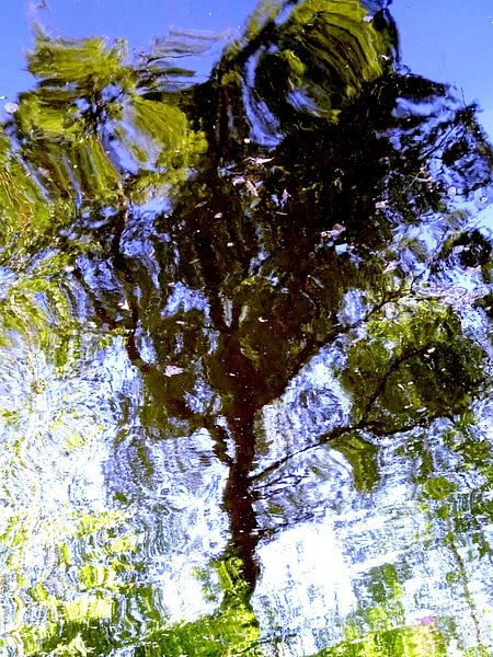 Tree Magic 188-B von MoArt (Maurice Heuts)