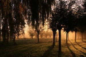 Morgendämmerung