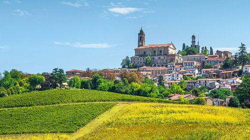 Het dorp Vignale Monferrato en de wijngaarden in de zomer, Piemonte