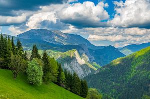 Matkov kot Tal in den Kamniker Savinja Alpen in Slowenien