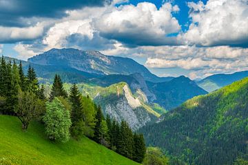 Matkov kot vallei in de Kamnik Savinja Alpen in Slovenië
