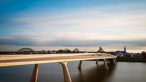 Spiegelwaal met Lentloper