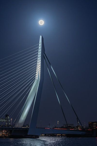 Full moon Erasmus bridge by Bob Vandenberg