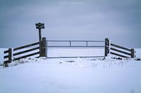 Landscape photo in snow
