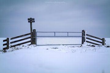Landschapsfoto in de sneeuw van Double u photography