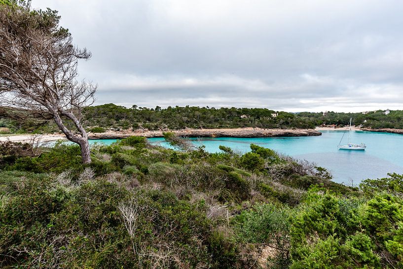 Turquoise baai en zeilboot in Nationaal Park Mondragó, Mallorca van Joke Van Eeghem