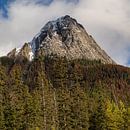 Herfstkleuren in Canadese bergen van Samantha van Leeuwen thumbnail