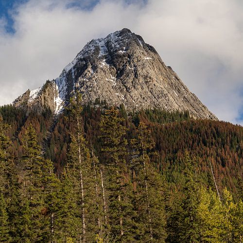 Fall colors in Canadian mountains