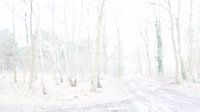 Winter bos trails van Chantal van Dooren thumbnail