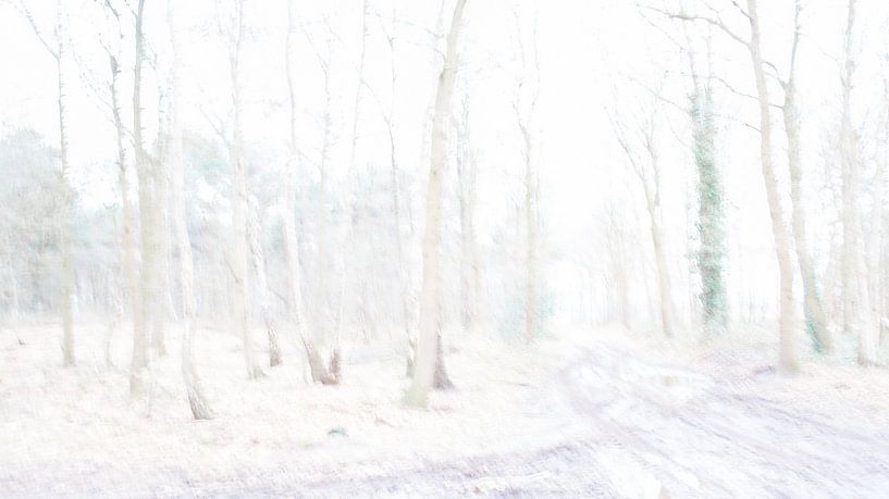 Winter bos trails van Chantal van Dooren