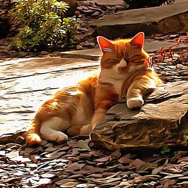 Chat roux prenant un bain de soleil sur Dorothy Berry-Lound