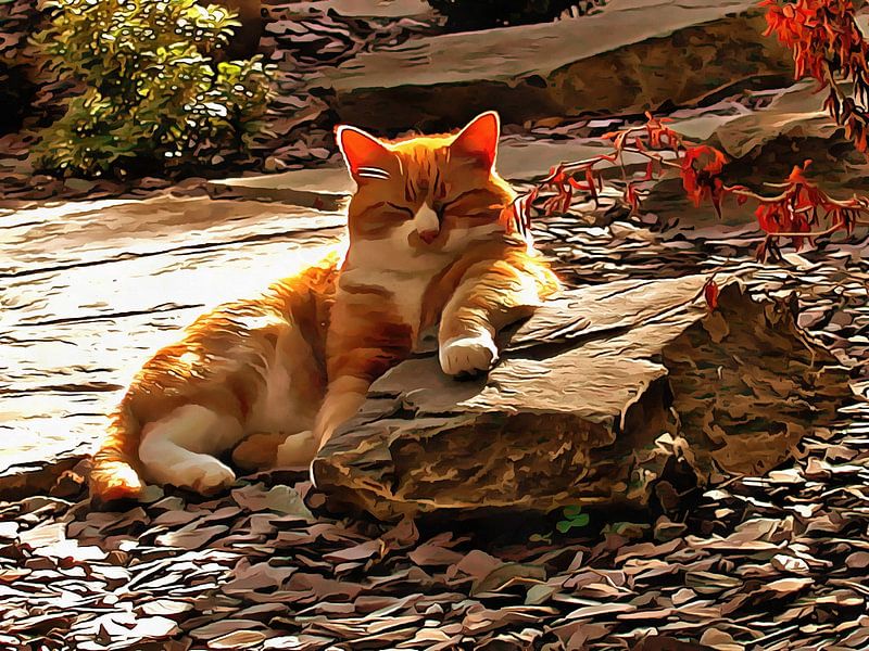 Ginger Cat Sunbathing Bliss by Dorothy Berry-Lound