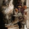 Kat met boeken en bloemen - Poëtisch schilderij van Joriali Fine Art