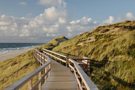 Une passerelle au cœur de la verdure – Un sentier côtier enchanteur – Photographie sur Nordlicht Atelier