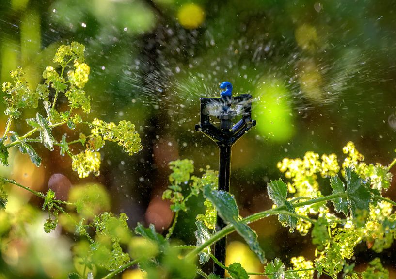 Irrigation system for the garden by ManfredFotos