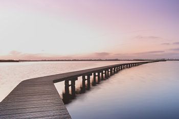 stijger van Roegwold