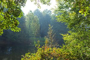 Herbst  in den Bremer Wallanlagen, Deutschland, Europa