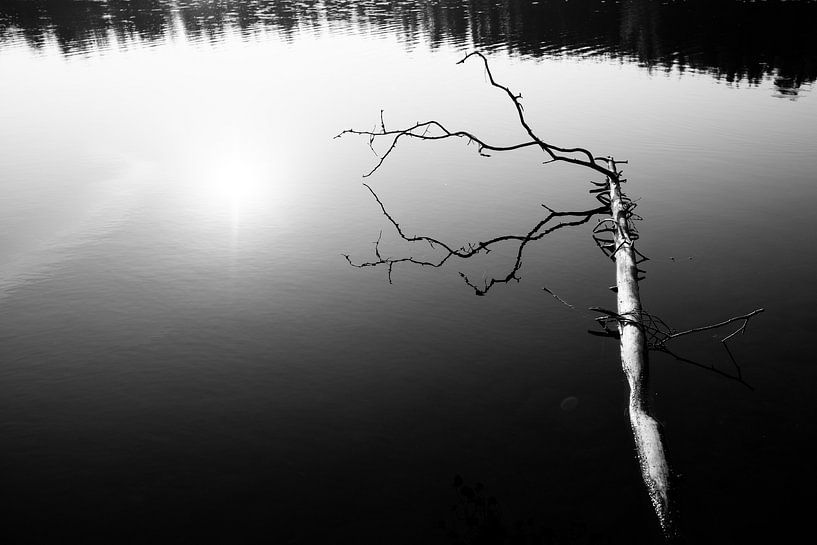 Reflet noir et blanc par Ellis Peeters